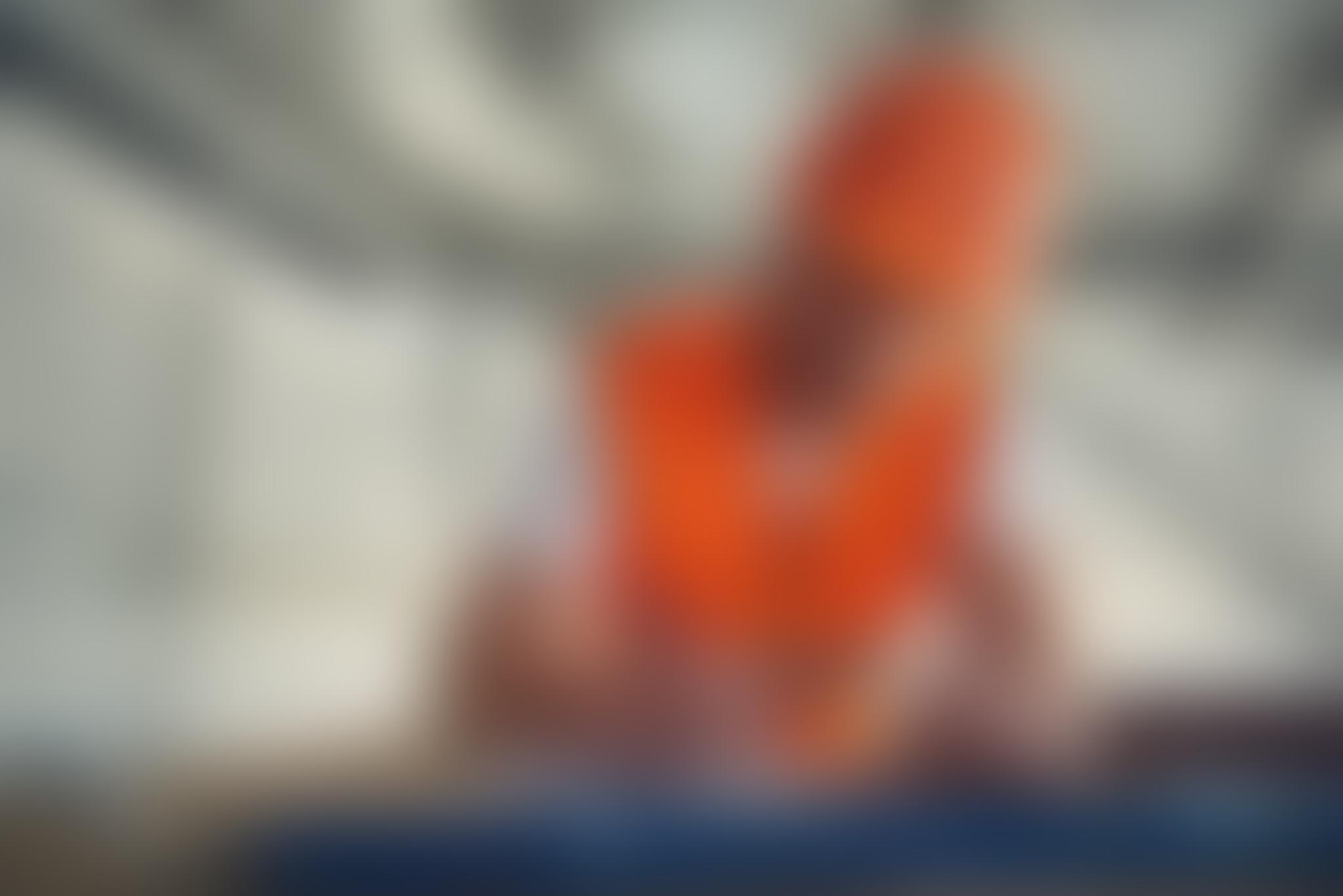 Mathematically Superior Designs for Extreme Environments background